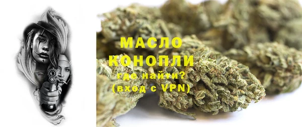 шишки Дмитриев