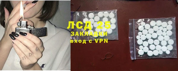 шишки Дмитриев