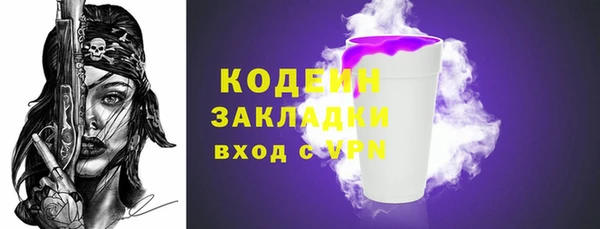 шишки Дмитриев