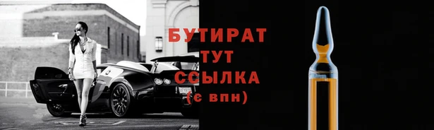 шишки Дмитриев