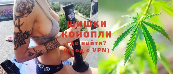 шишки Дмитриев