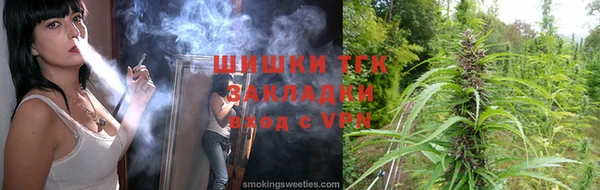 шишки Дмитриев