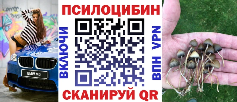 Псилоцибиновые грибы Psilocybe  Купить закладки  Калининск 